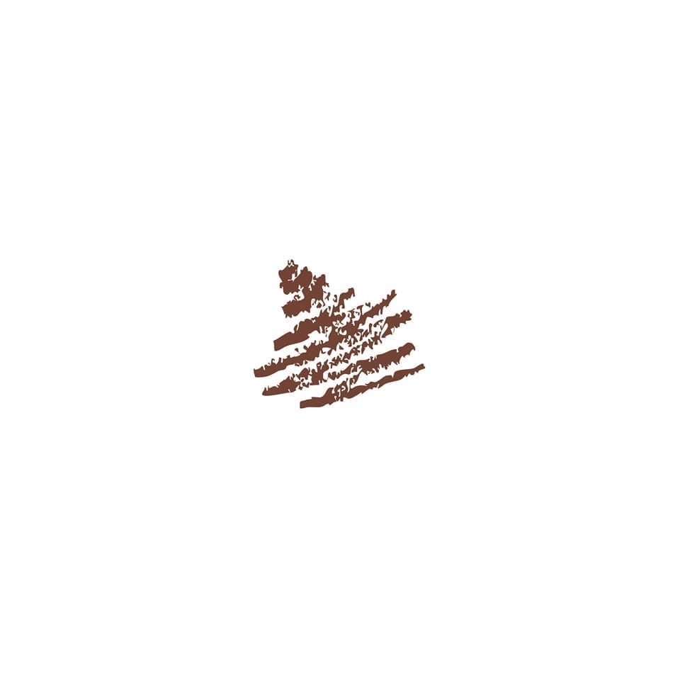 PL-306 Cacao - Lip Liner Pencil - Tem Image Professional PL-306 Cacao - Lip Liner Pencil - Tem Image Professional