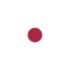 LS-902- Cherry Red - Luxury Lipstick - Ten Image Professional LS-902- Cherry Red - Luxury Lipstick - Ten Image Professional