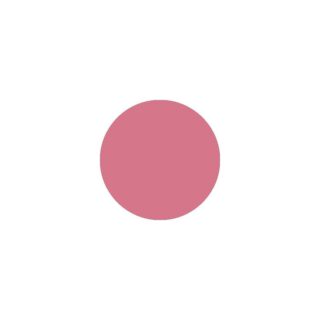 PC-05 Pink - Push&Chic Treating Volumizer Gloss - Ten Image Professional PC-05 Pink - Push&Chic Treating Volumizer Gloss - Ten Image Professional