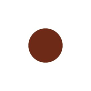 PC-07 Brown - Push&Chic Treating Volumizer Gloss - Ten Image Professional PC-07 Brown - Push&Chic Treating Volumizer Gloss - Ten Image Professional